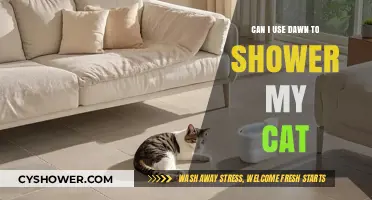 Feline Hygiene: Dawn Dish Soap for Cat Showers?