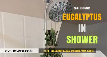 Revitalize Your Shower Routine with Dried Eucalyptus: A Natural Aromatherapy Boost