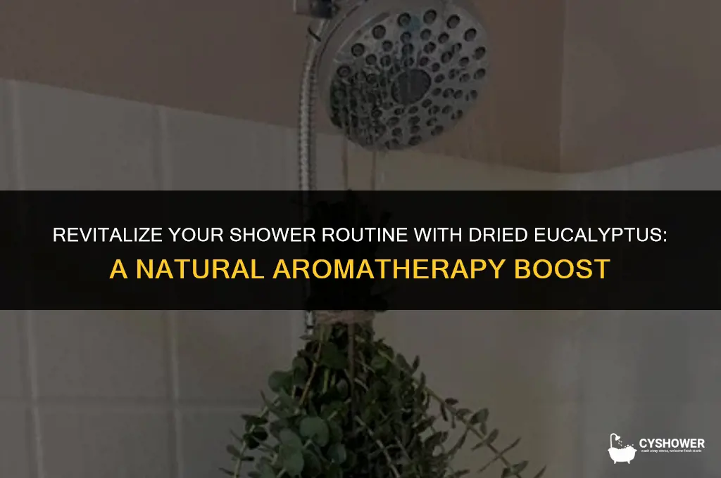can i use dried eucalyptus in shower
