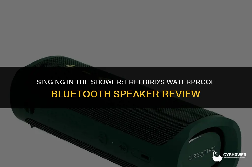 can i use freebird in the shower
