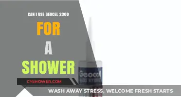 Revamping Your Shower: Is Geocel 2300 the Right Choice?