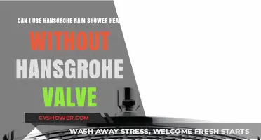 Exploring Compatibility: Hansgrohe Rain Shower Head with Non-Hansgrohe Valves