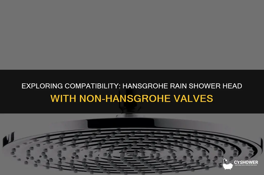 can i use hansgrohe rain shower head without hansgrohe valve