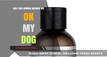 Paws and Reflect: Human Shower Gel for Dogs - A Good Idea?