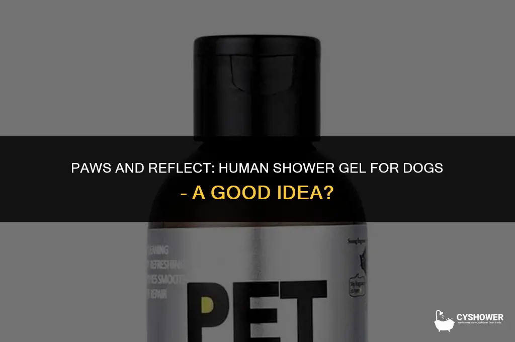 can i use human shower gel on my dog