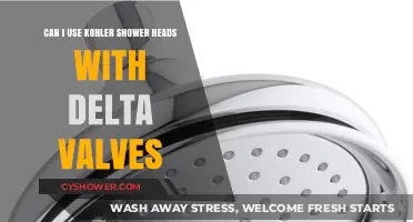 Kohler Shower Heads with Delta Valves: Compatibility Guide