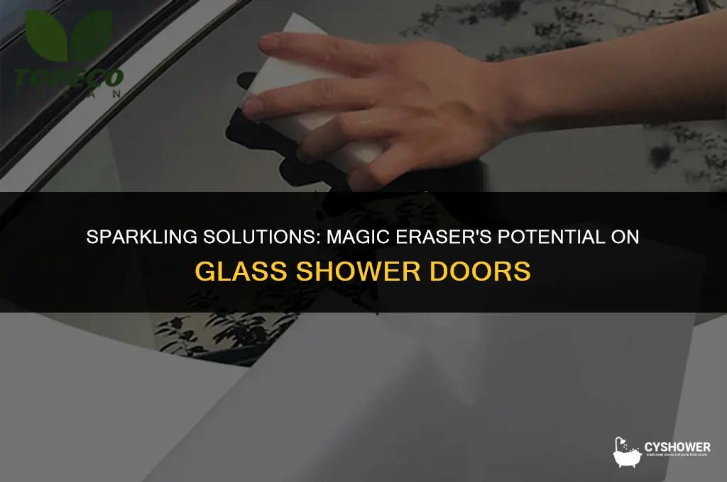 can i use magic eraser on glass shower doors