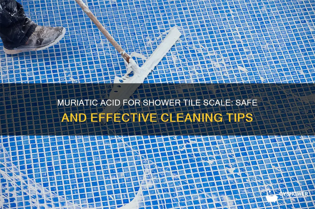 can i use muriatic acid on shower tile scale