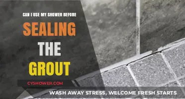Showering Before Grout Sealing: A Guide to Timing and Safety