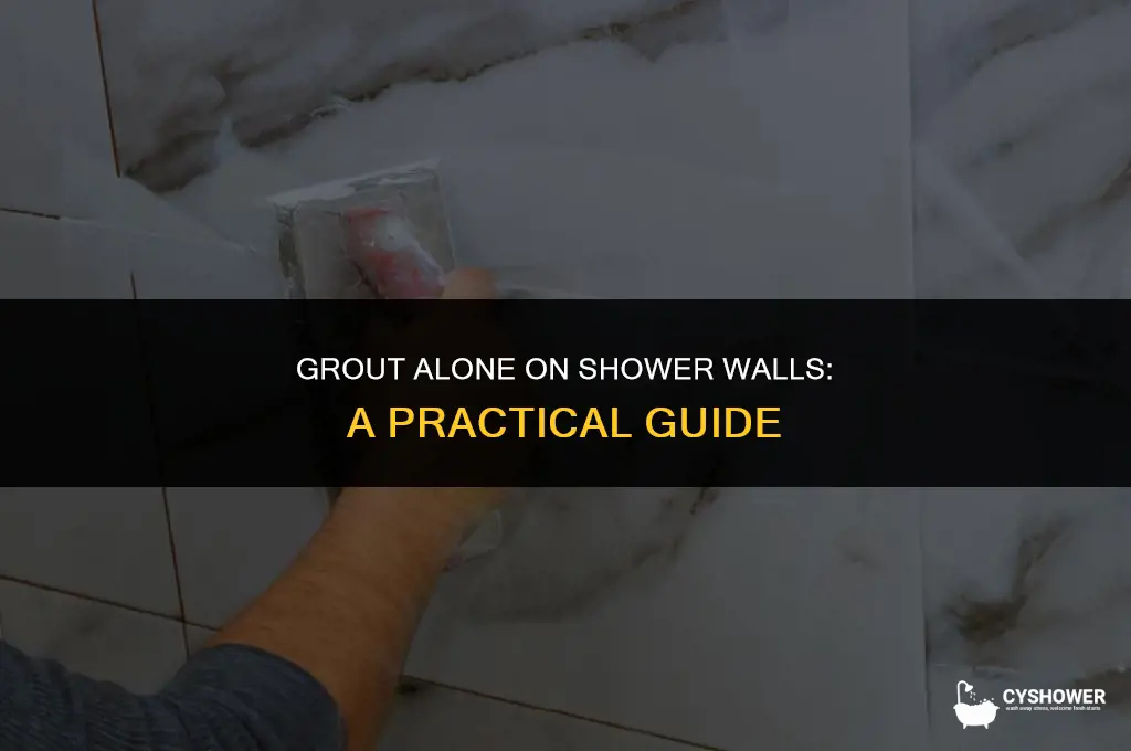 can i use only grout on a shower wall