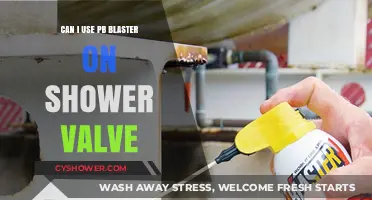 Shower Valve Cleaning: Is PB Blaster the Right Choice?