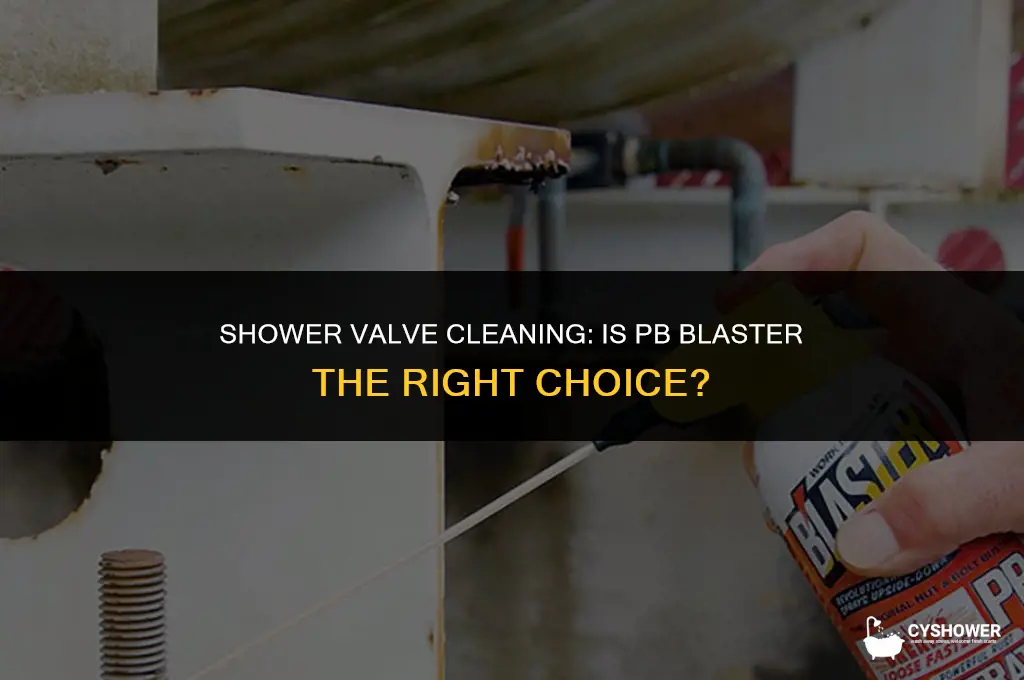 can i use pb blaster on shower valve