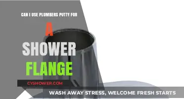DIY Shower Flange Repair: Is Plumber's Putty the Right Choice?