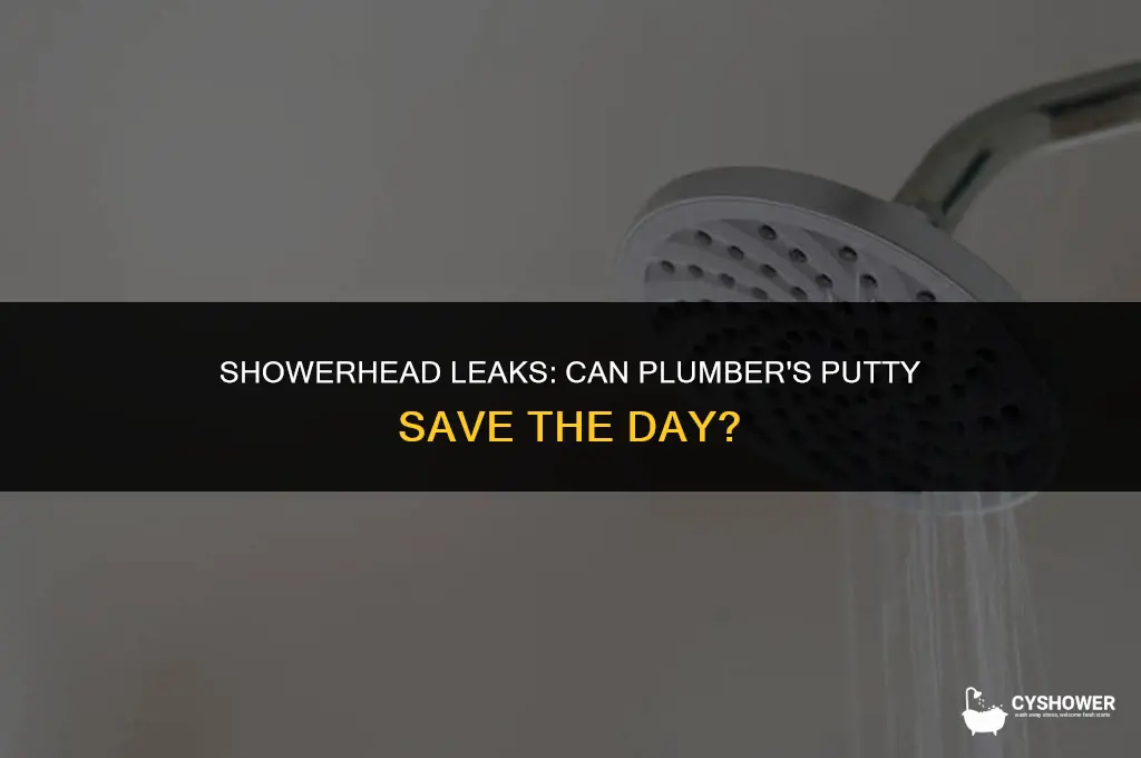 can i use plumbers putty on shower head