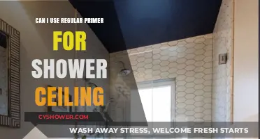 Primer for Shower Ceilings: What You Need to Know