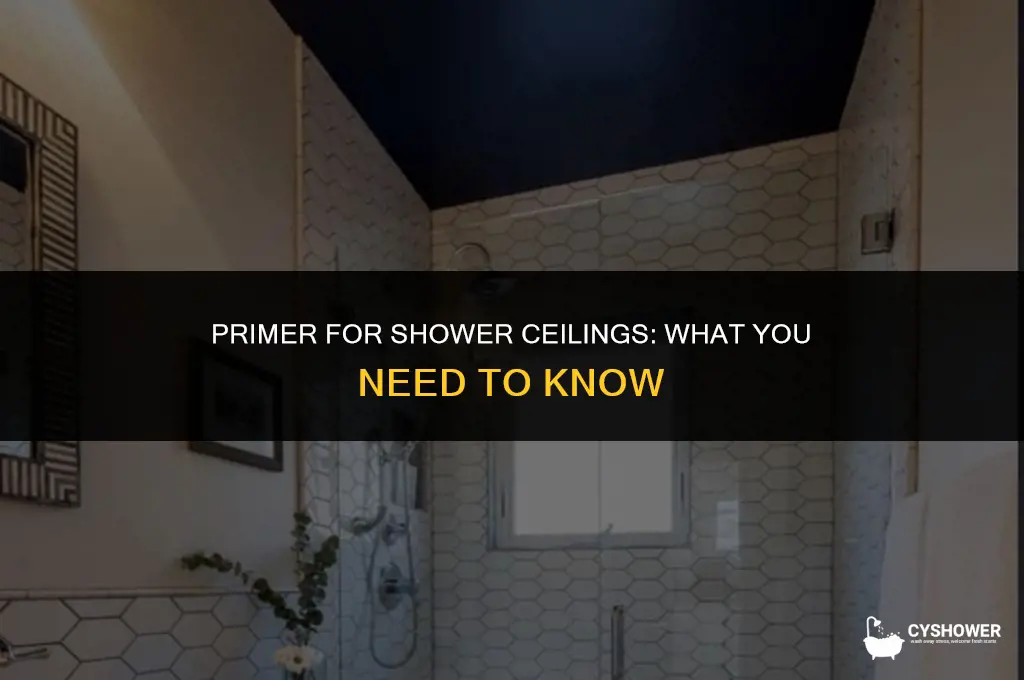 can i use regular primer for shower ceiling