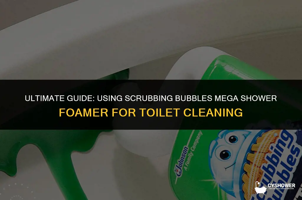 can i use scrubbing bubbles mega shower foamer on toilet