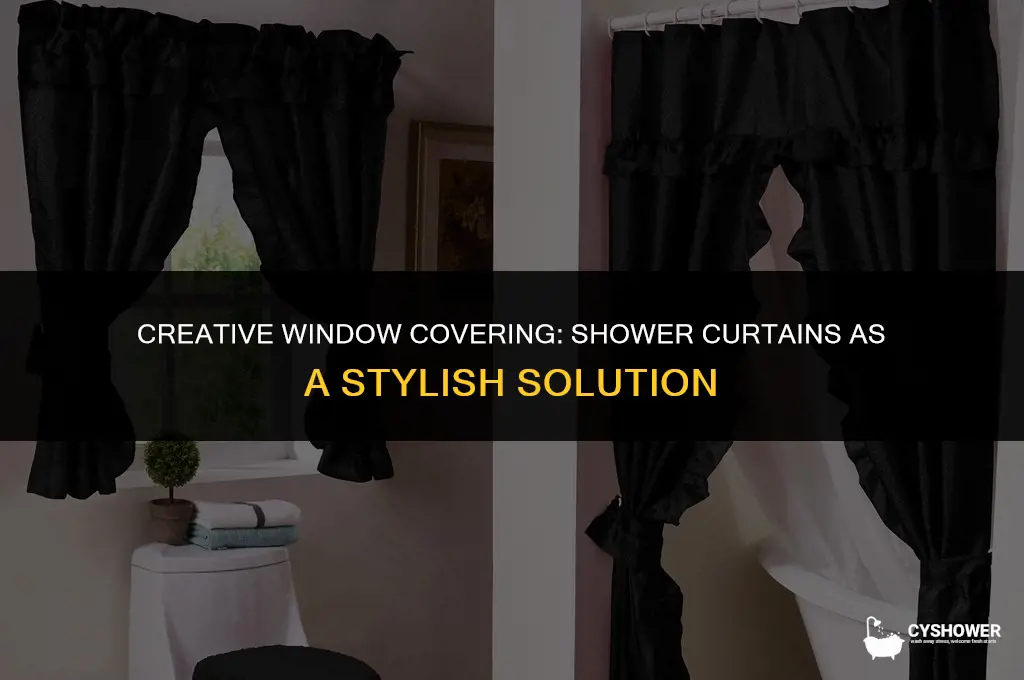 can i use shower curtain for window