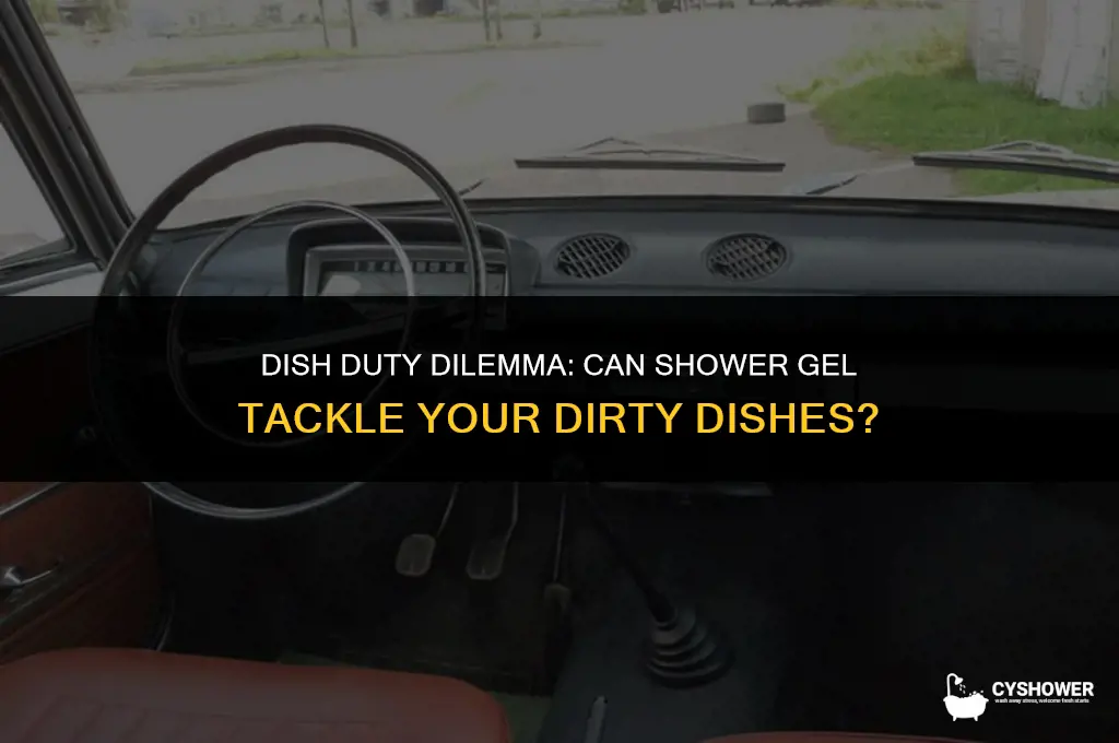 can i use shower gel to wash dishes