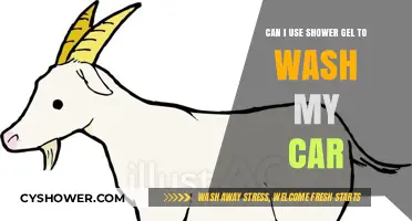 Shower Gel Car Wash: A Surprisingly Effective Alternative?
