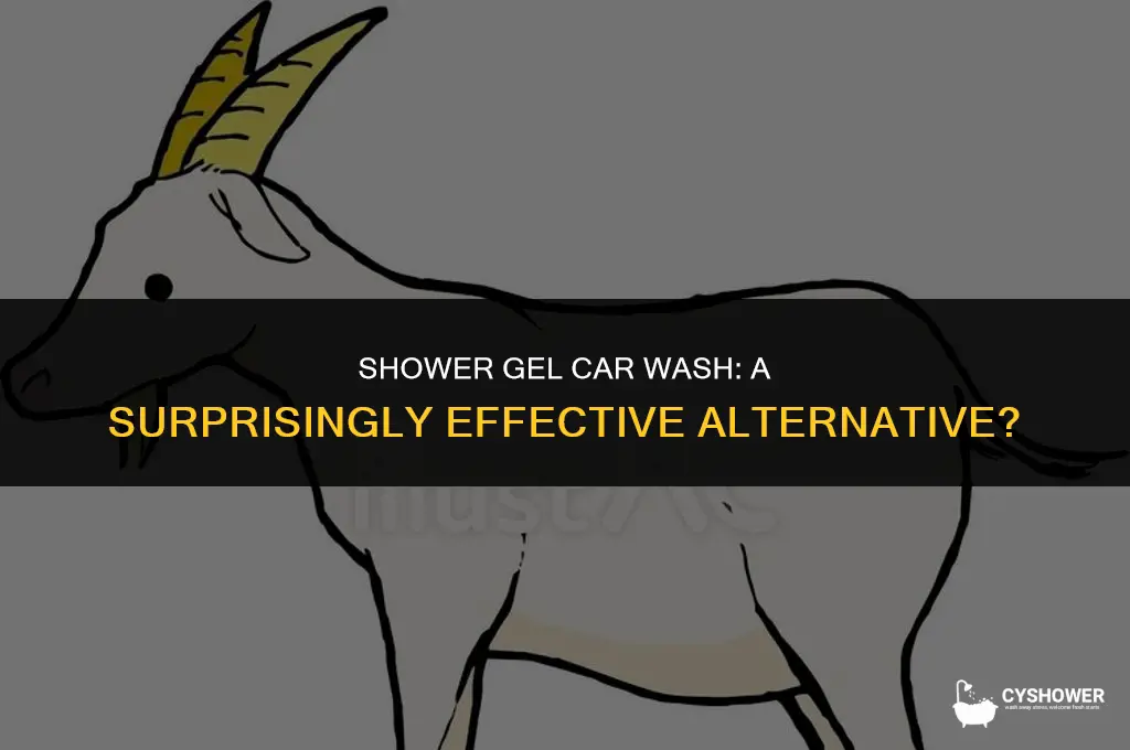 can i use shower gel to wash my car