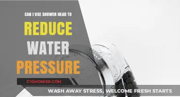 Eco-Friendly Showers: Can a Shower Head Really Tame High Water Pressure?