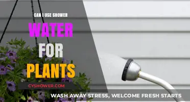 Nurturing Growth: The Do's and Don'ts of Using Shower Water for Plants