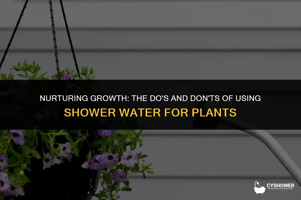 can i use shower water for plants