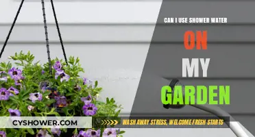 Eco-Friendly Gardening: Reusing Shower Water for Your Plants
