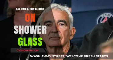 Revive Your Shower Glass: The Steam Cleaner Solution