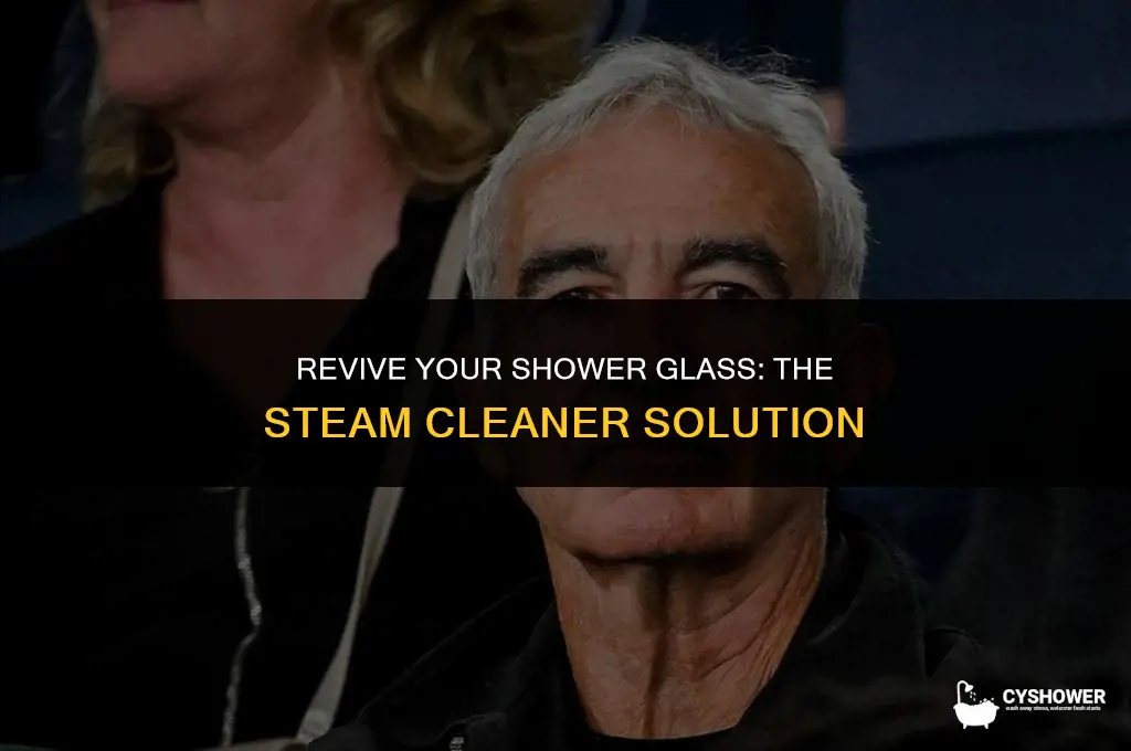 can i use steam cleaner on shower glass