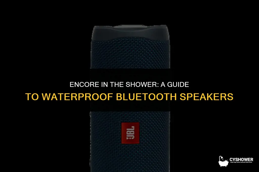 can i use the encore in the shower