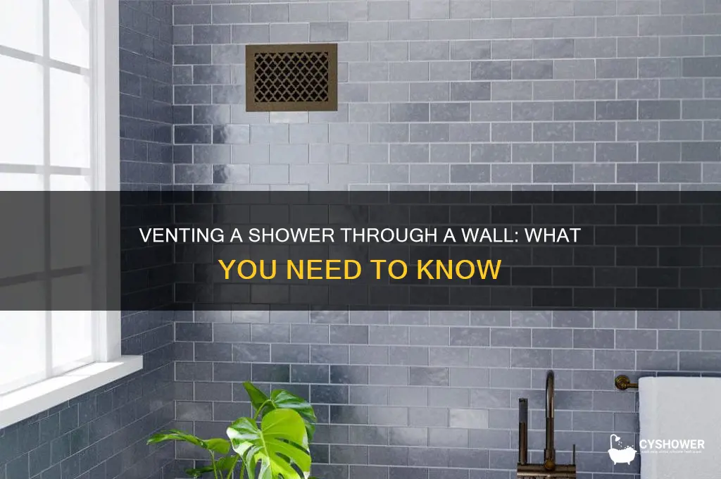 can i vent a shower through a wall