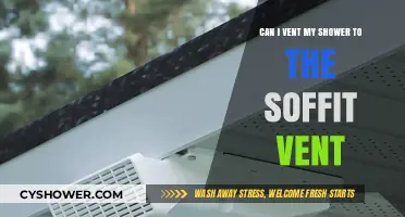 Venting Shower to Soffit: Is It a Safe and Effective Option?