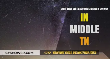 Viewing Delta Aquarids Meteor Shower in Middle Tennessee: Tips & Timing
