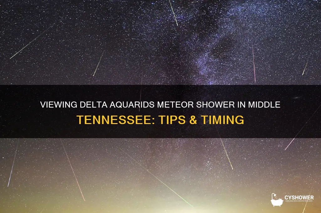can i view delta aquarids meteor shower in middle tn