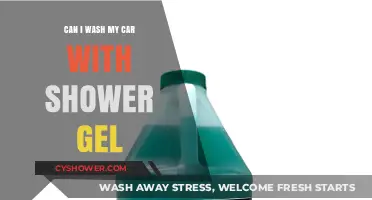 Can You Wash Your Car with Shower Gel? Pros, Cons, and Alternatives