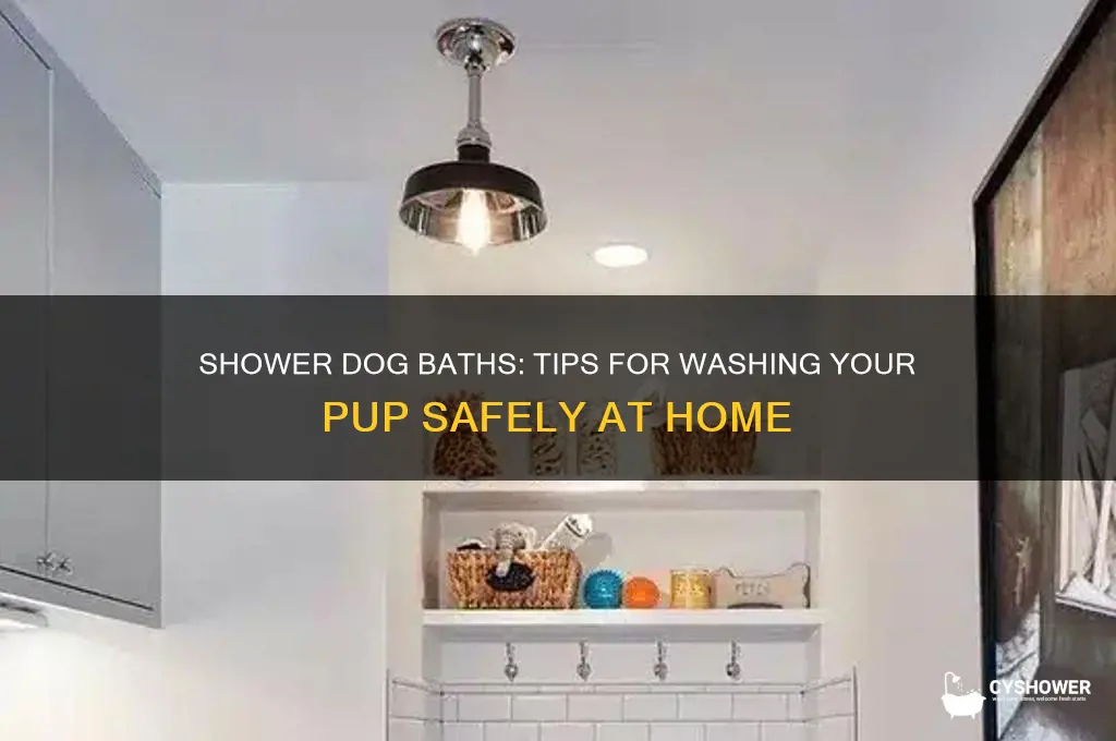 can i wash my dog in my shower