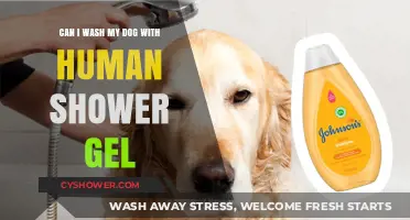 Is Human Shower Gel Safe for Washing Your Dog?