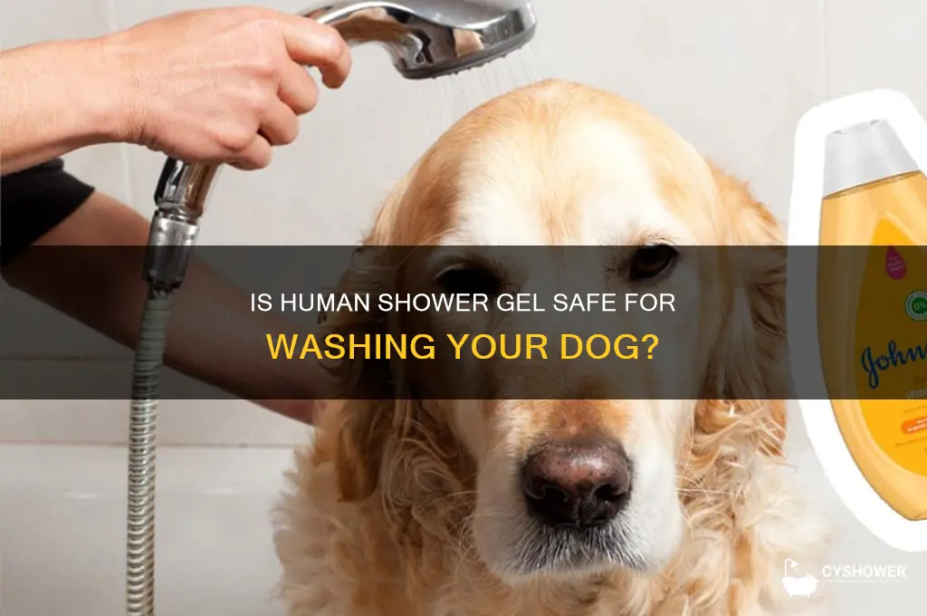 can i wash my dog with human shower gel