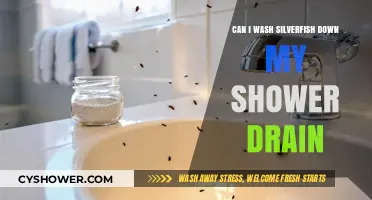 Should You Wash Silverfish Down the Shower Drain? Risks and Tips