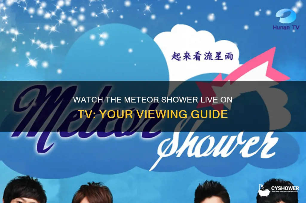 can i watch the meteor shower live on tv