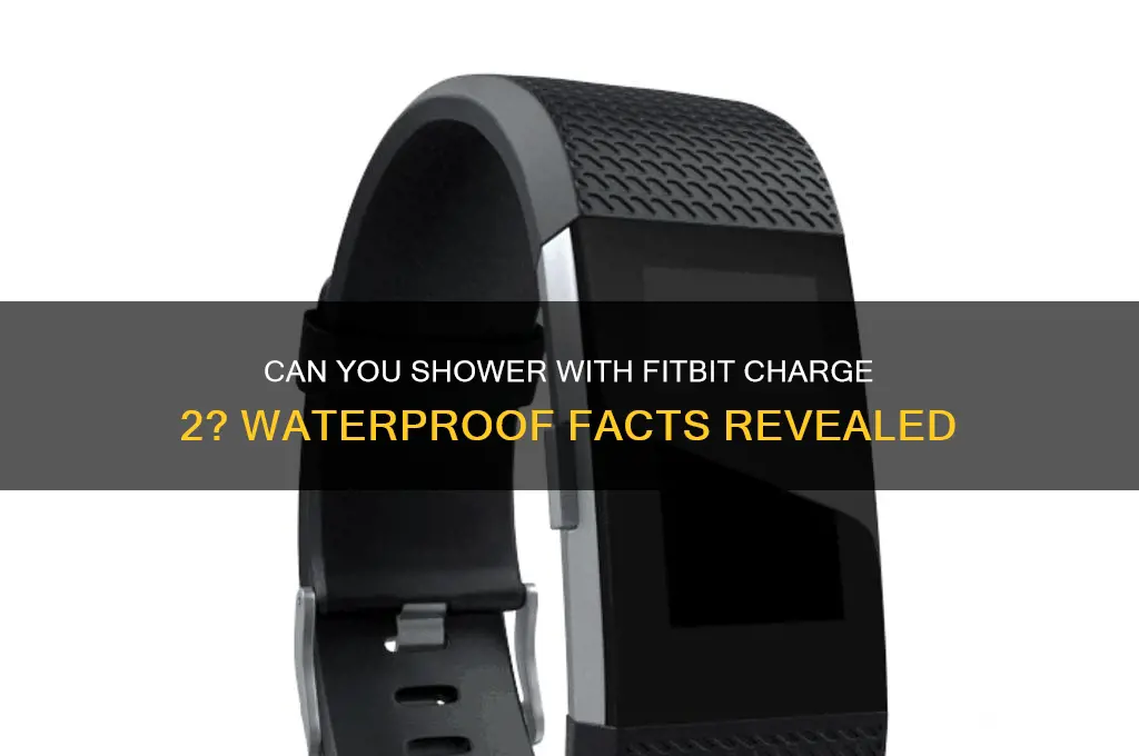 can i wear a fitbit charge 2 in the shower