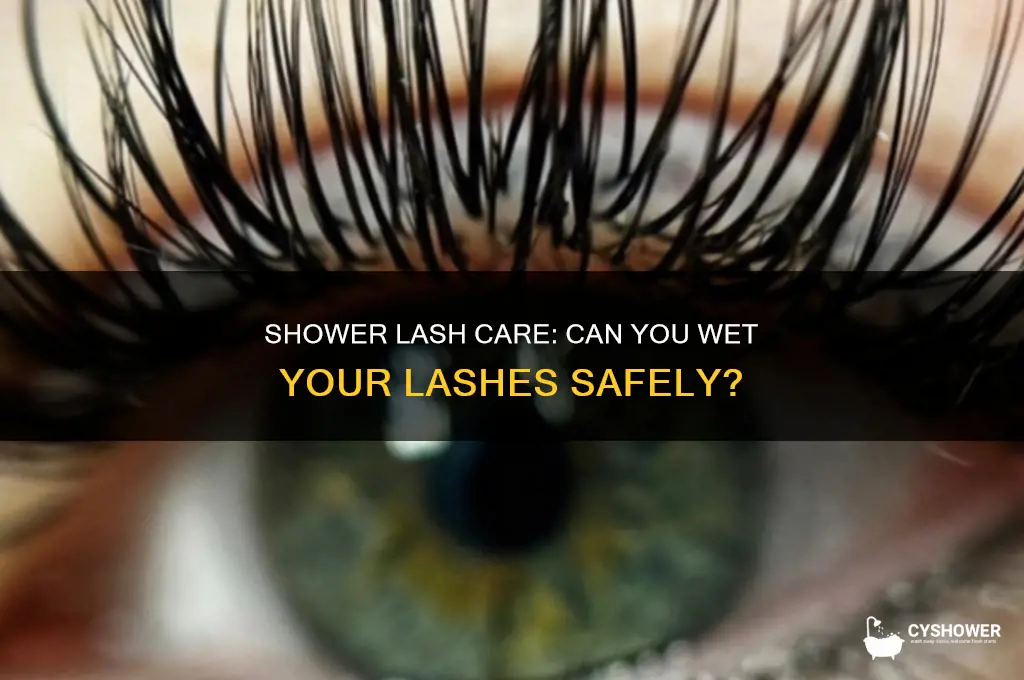 can i wet my lashes in the shower