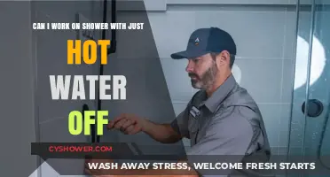 Working on a Shower: Hot Water Off, Safety On?