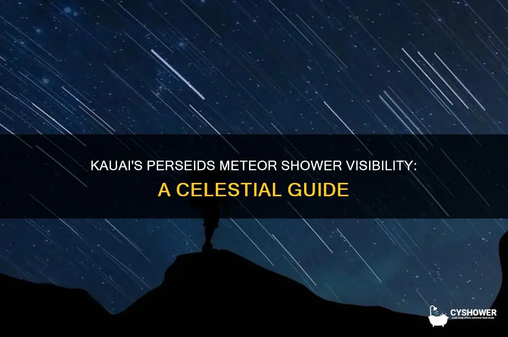 can kauai view perseids meteor shower