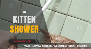 Can Kittens Enjoy Showers? A Guide to Feline Bath Time