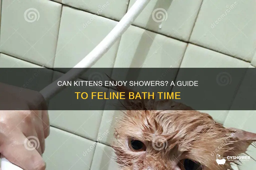can kitten shower