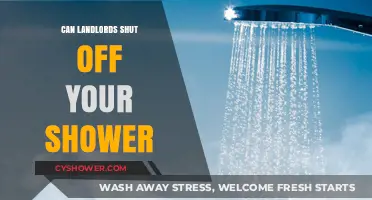 Can Landlords Legally Shut Off Your Shower? Know Your Rights
