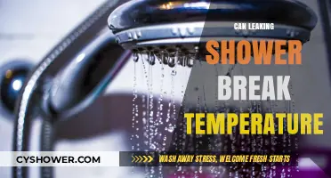 Can a Leaking Shower Cause Temperature Fluctuations in Your Home?